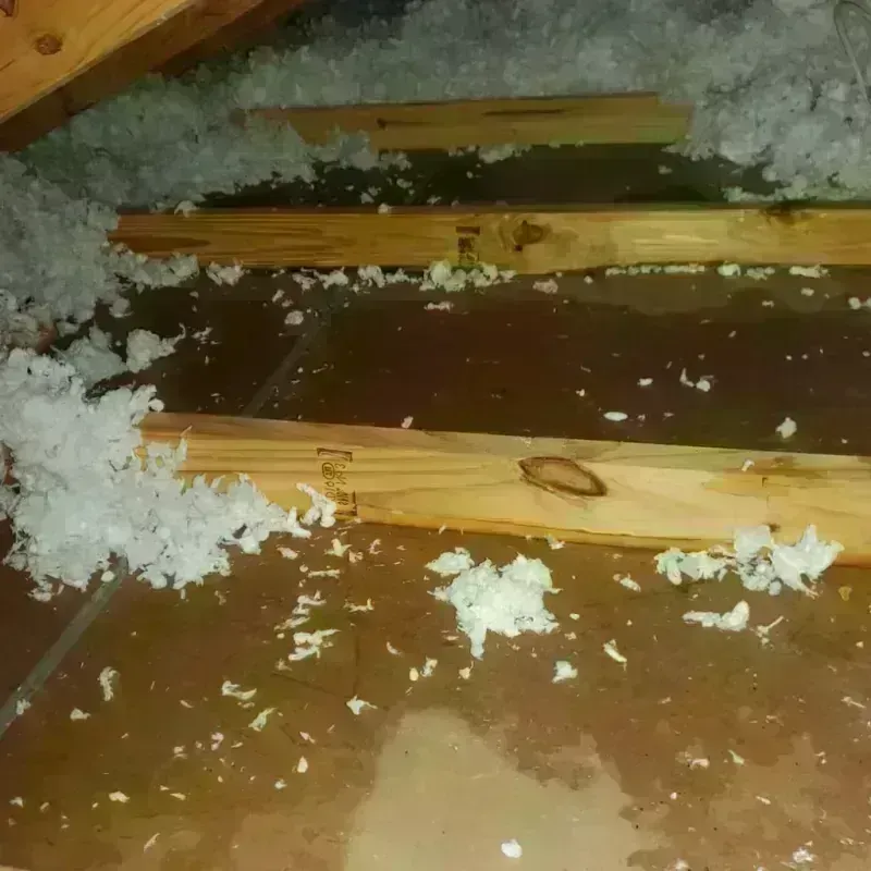 Attic Water Damage in Statesville, NC