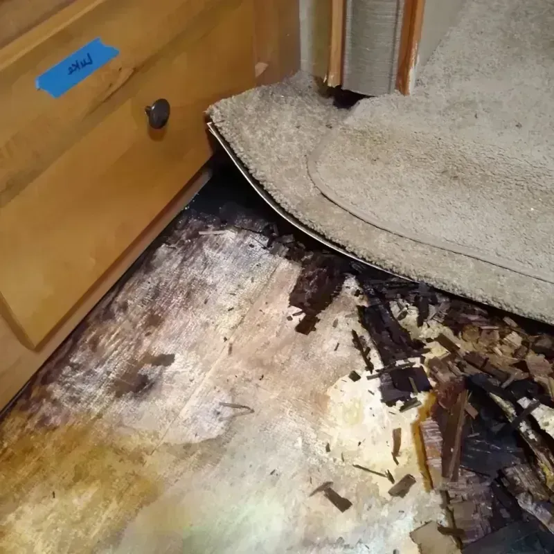 Wood Floor Water Damage in Statesville, NC